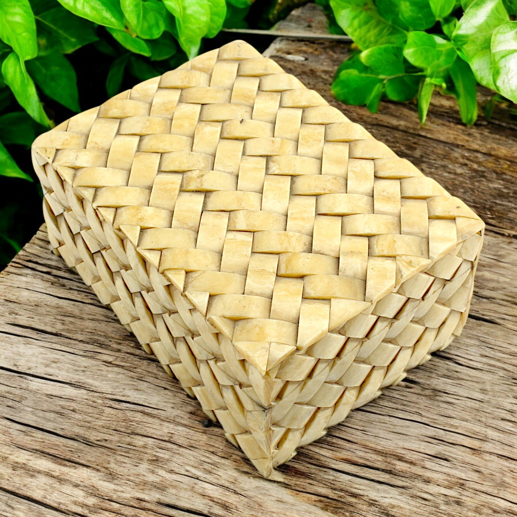Bone Storage Box